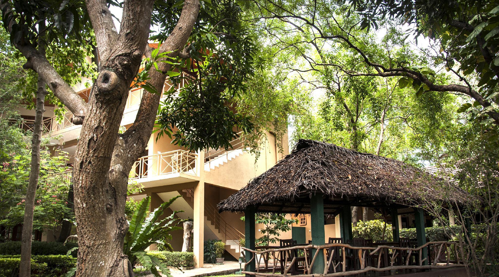 Pelwehera Village Resort Dambulla Exterior photo