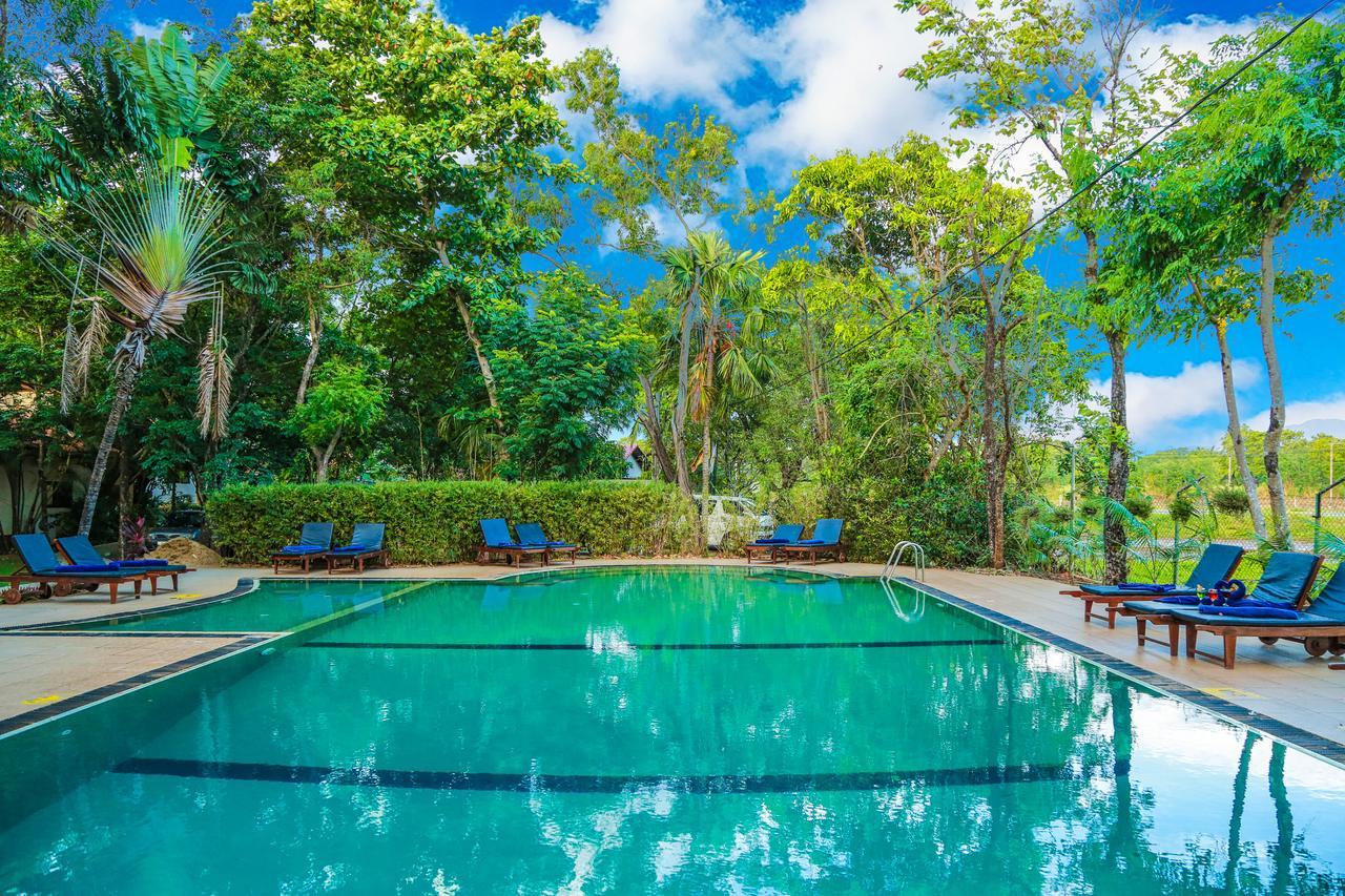 Pelwehera Village Resort Dambulla Exterior photo